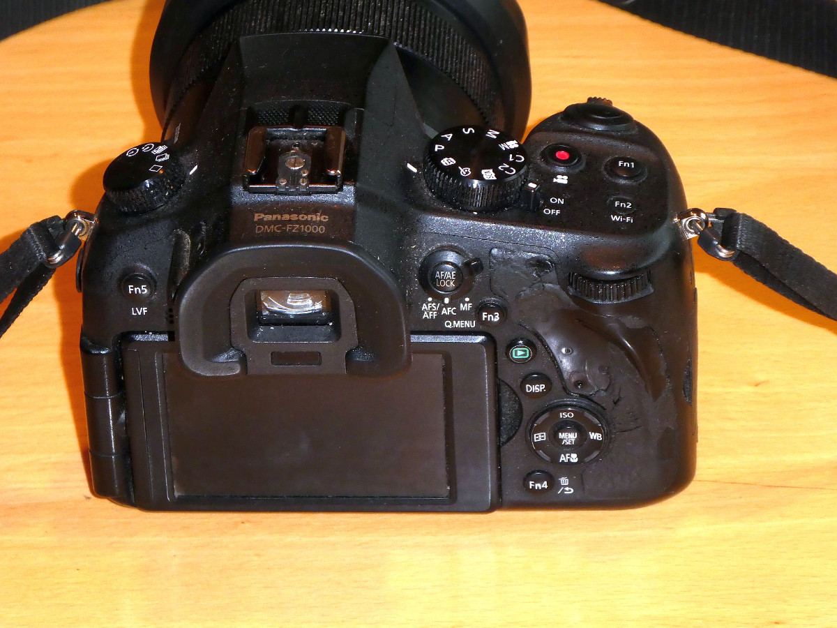 P1020269 1500.jpg