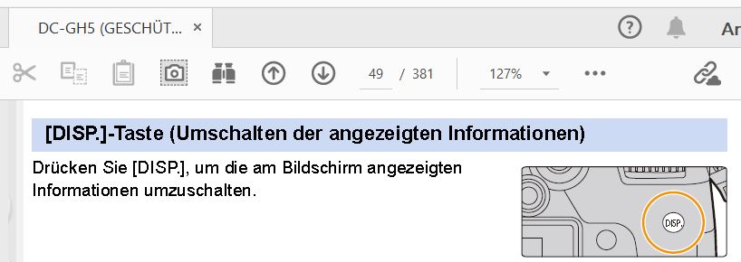 GH5  Disp-Taste  Menü-Infos einblenden.JPG