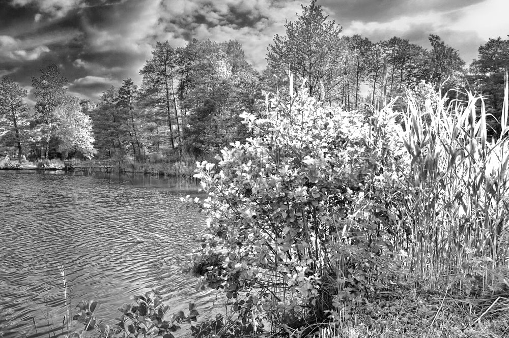 20120613_6556-ir.jpg