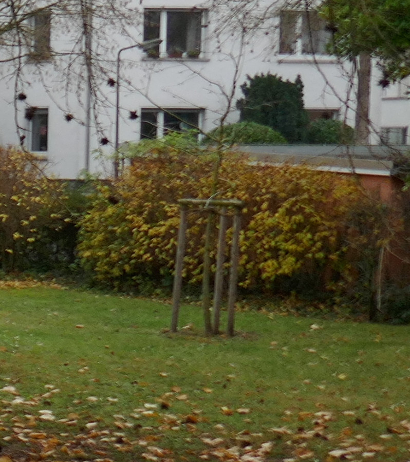 Rechter Rand.jpg