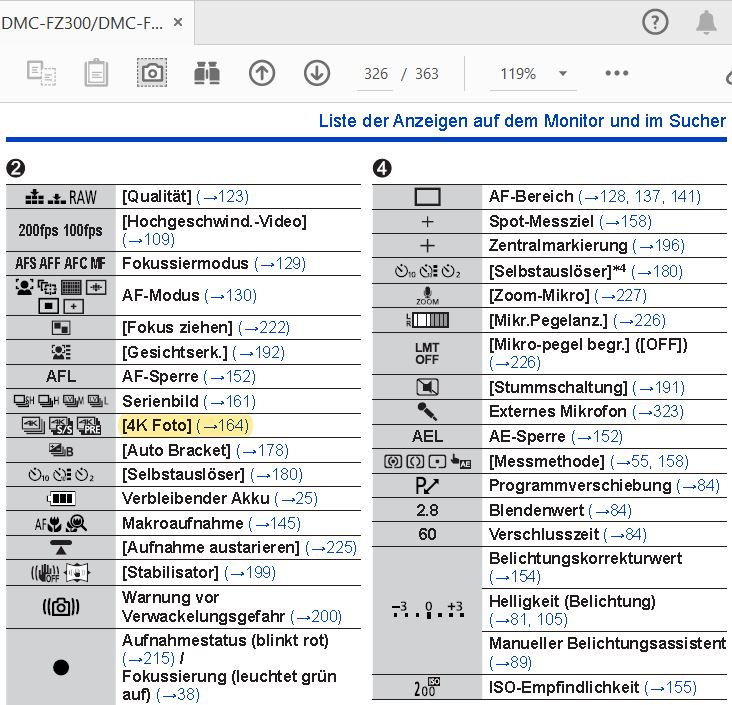 FZ300 Anzeigen-Symbole mit Seiten-Link.JPG