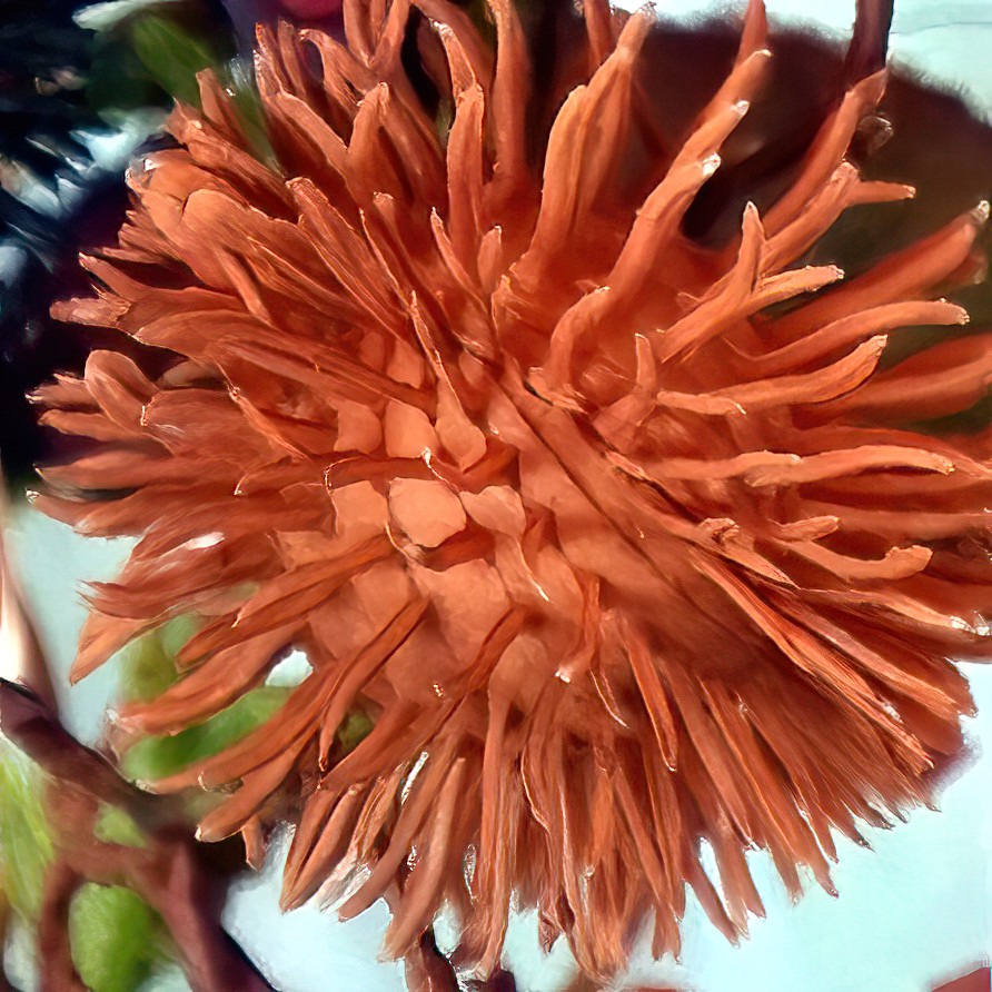 Stachelblüte-denoise-severe-noise-SAI-Focus.jpg