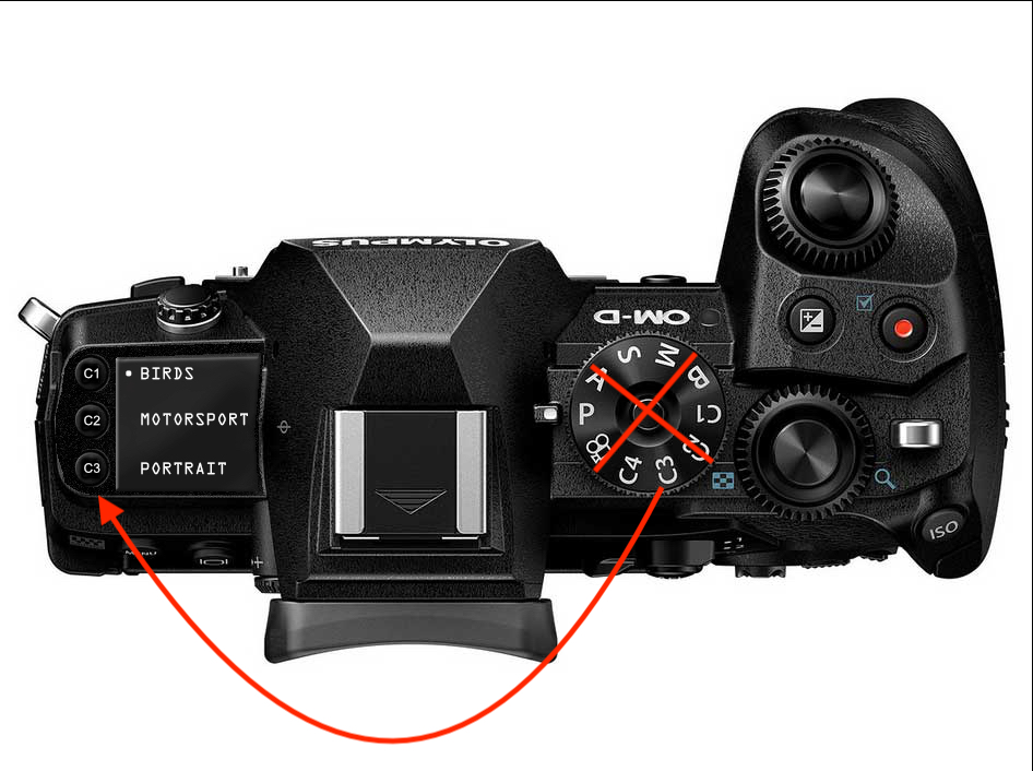 2.Custom-Button.jpg