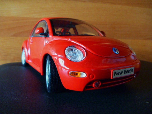 P1010115.JPG
