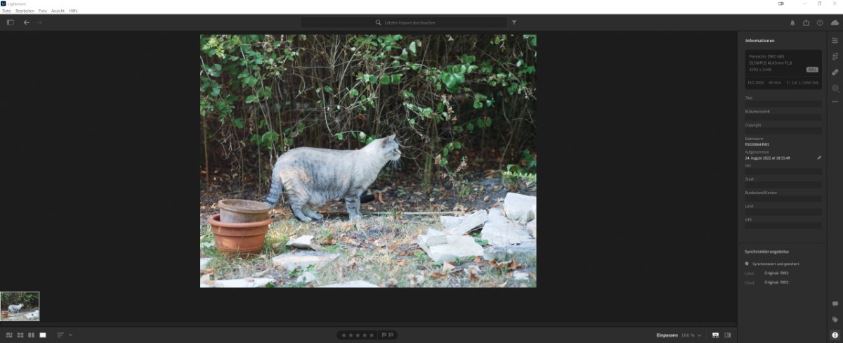 Lightroom123.jpg