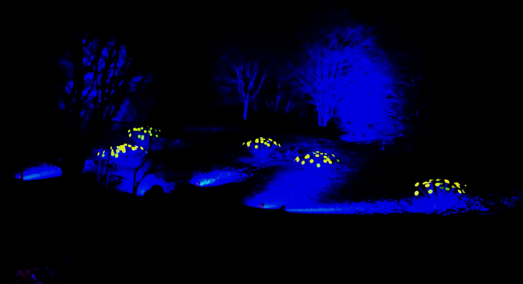 P1080672_1_1.JPG