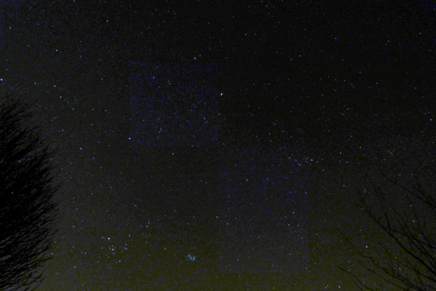 P1010155.JPG