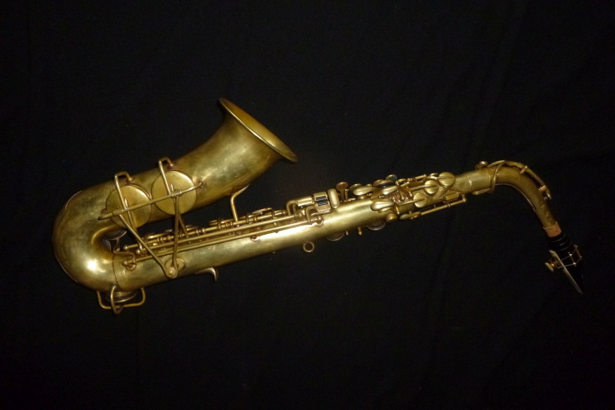 P1140054_50.jpg