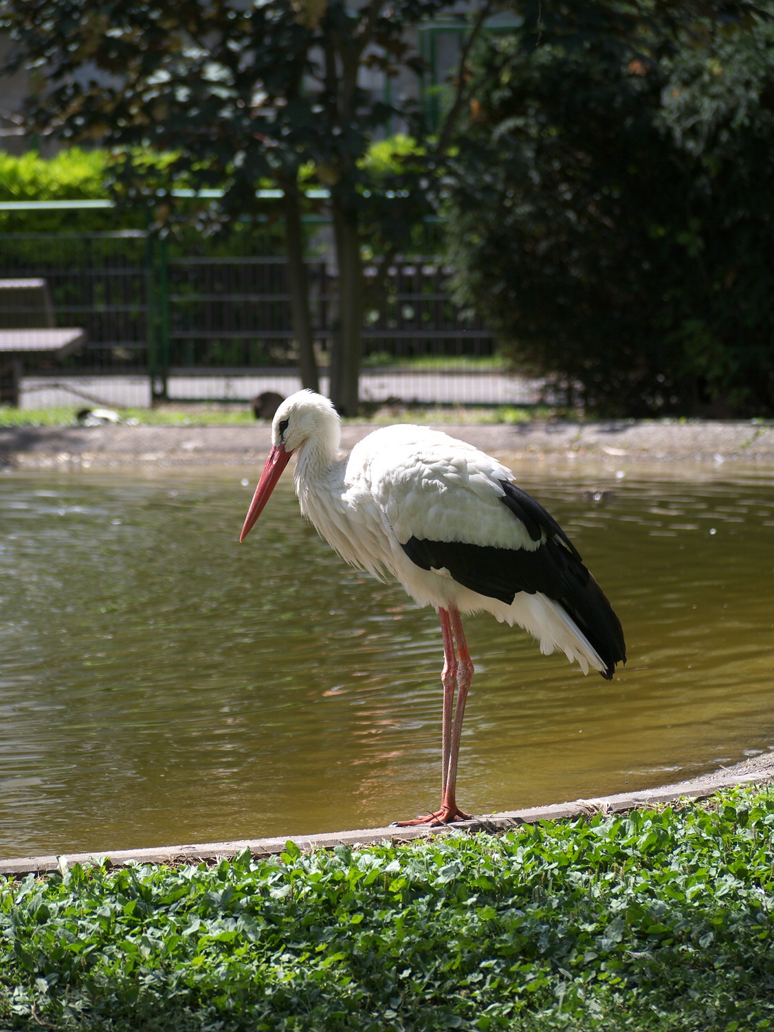 P1000131.jpg