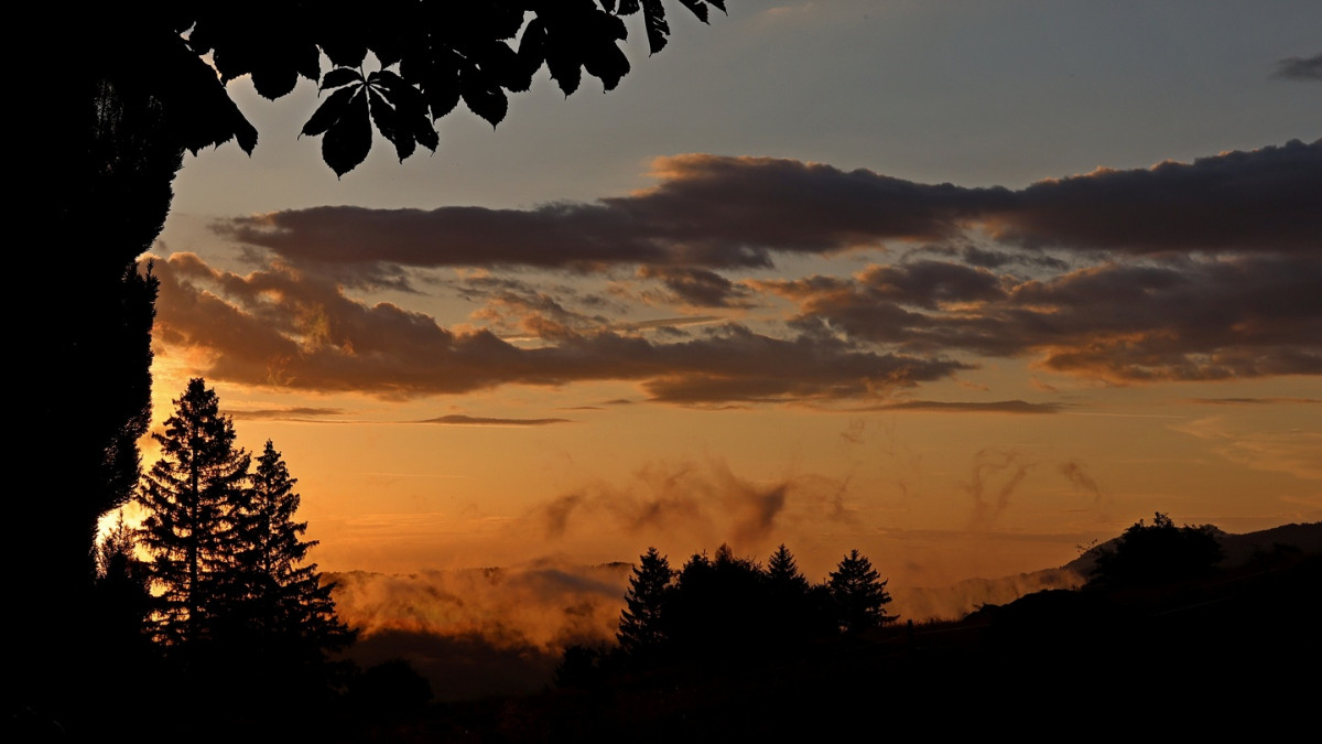 20230705-054647-006R5a.jpg