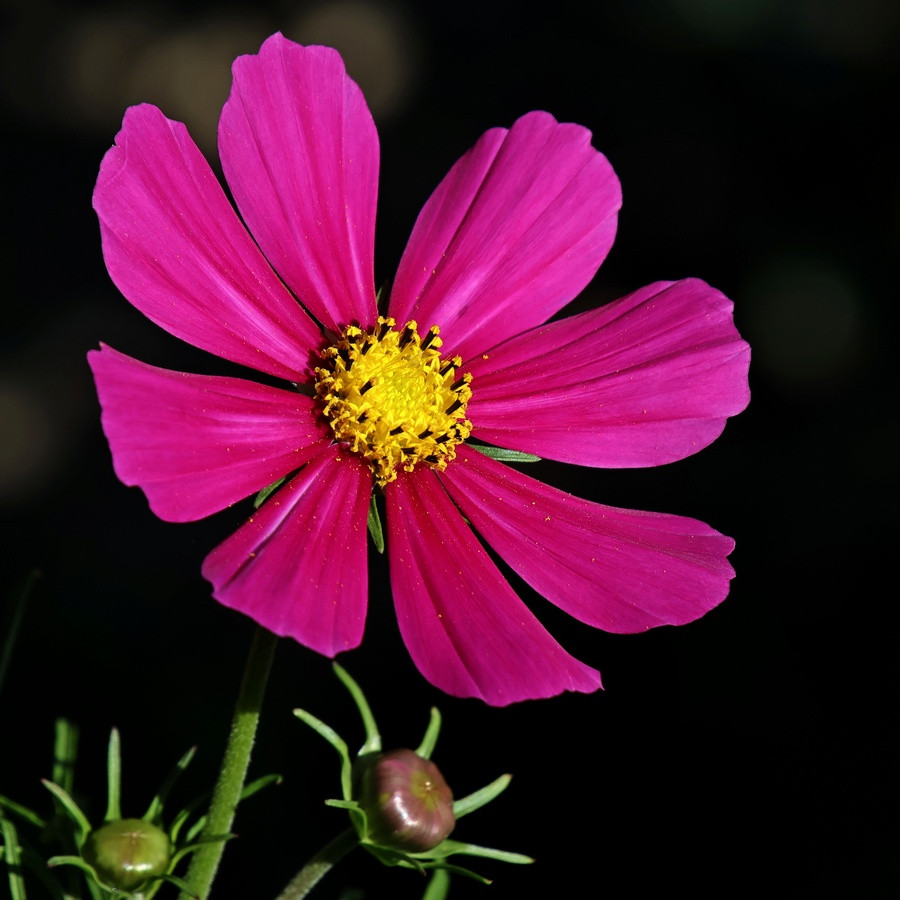 20230906-094001-009R7a.jpg