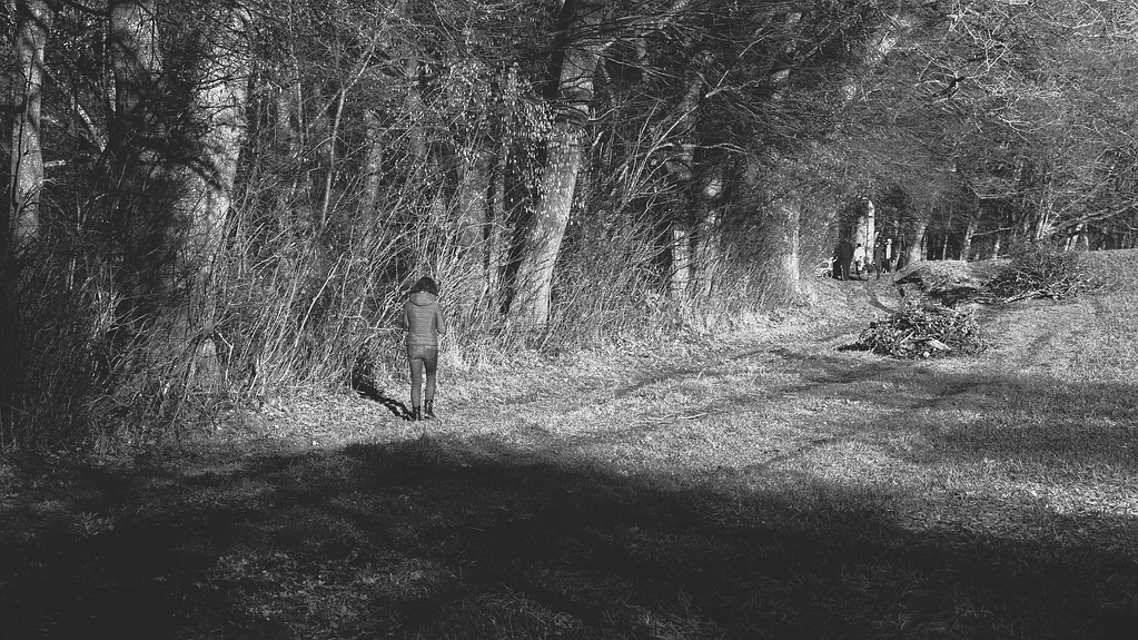 comp_P1006612sw1.jpg
