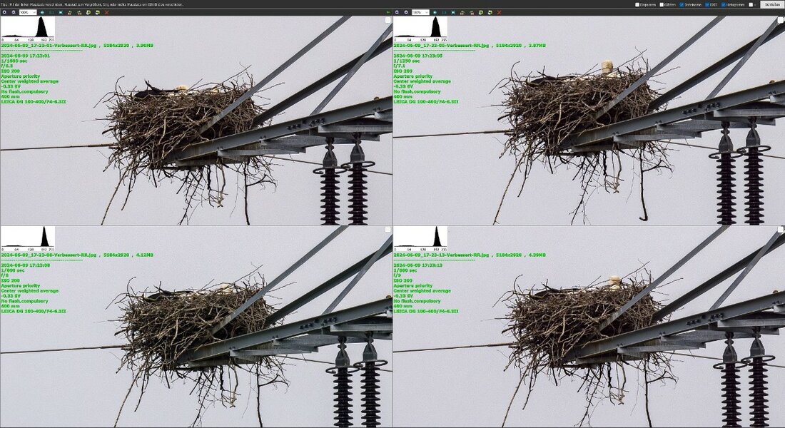 Storchennest.jpg
