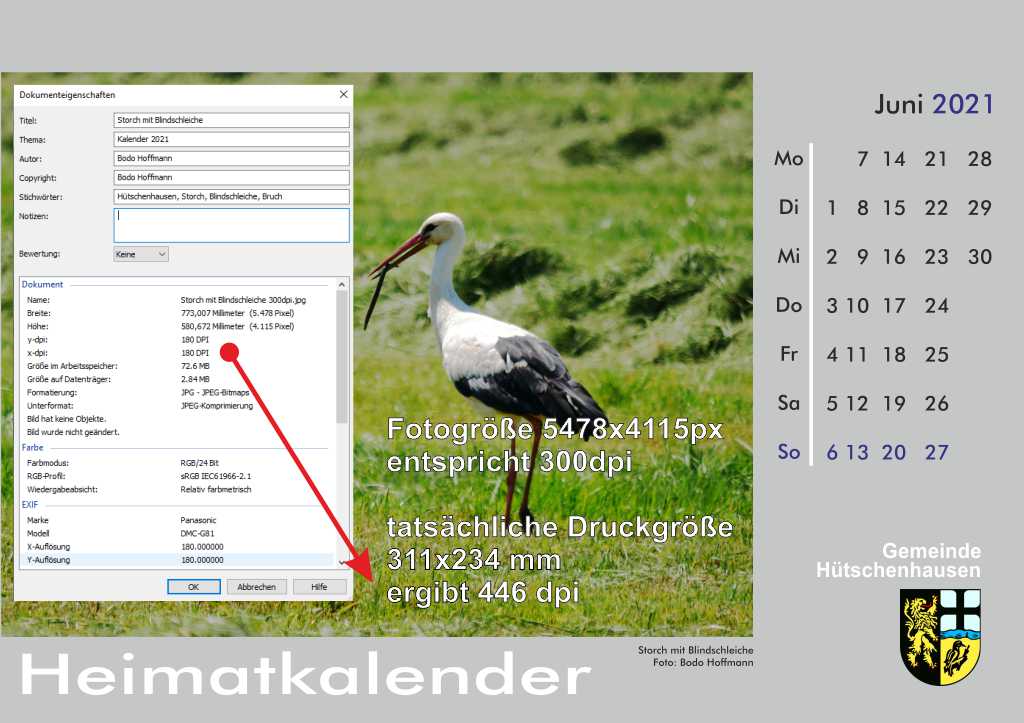 DPI Artikel Kalenderblatt.jpg
