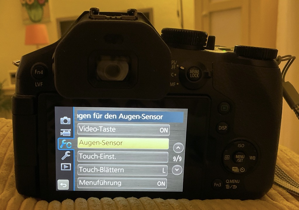 IMG_3774.jpeg