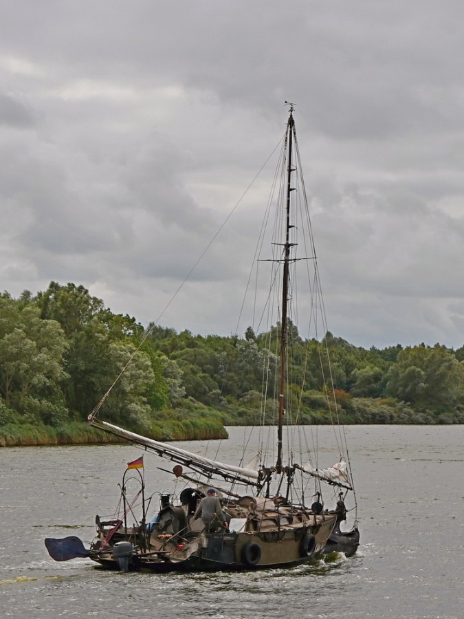 Lonesome Skipper.JPG