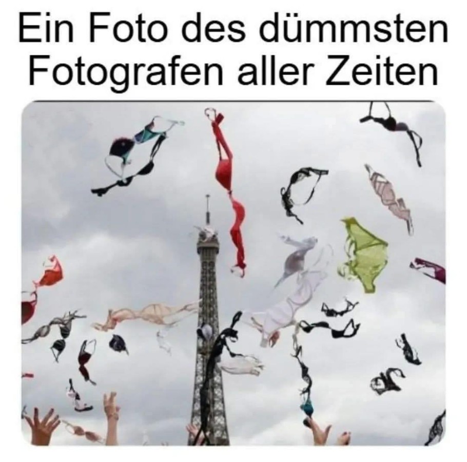 bilddumm.jpg