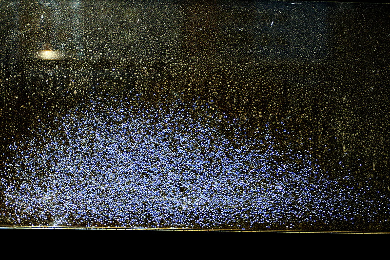 P1870412 Eiskristalle 800.jpg