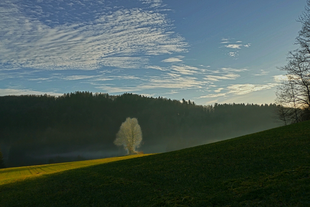 comp_V02_Nebel steigt auf.jpg