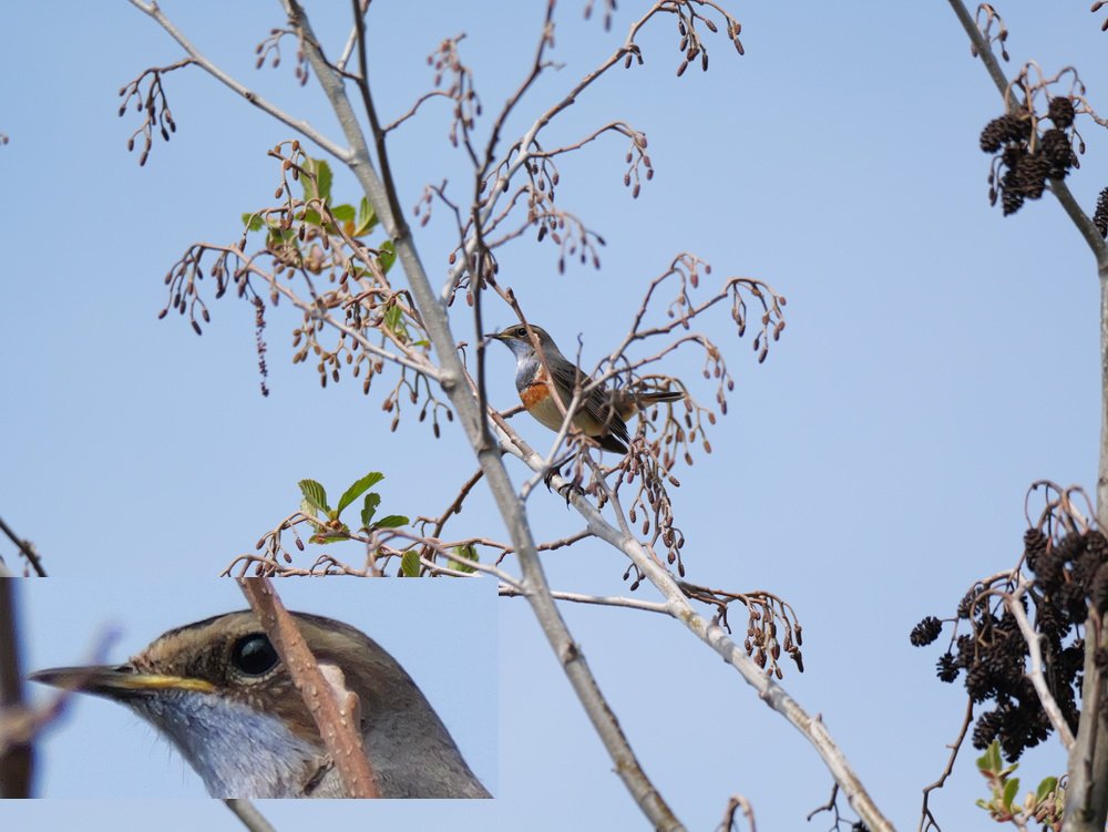 PG2_8286 nur Größenänderung.JPG