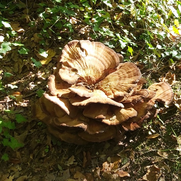 20261004_144911.jpg