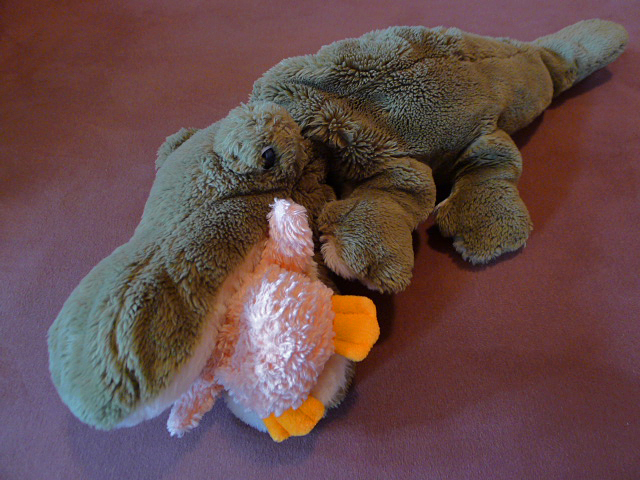 P1140558.JPG