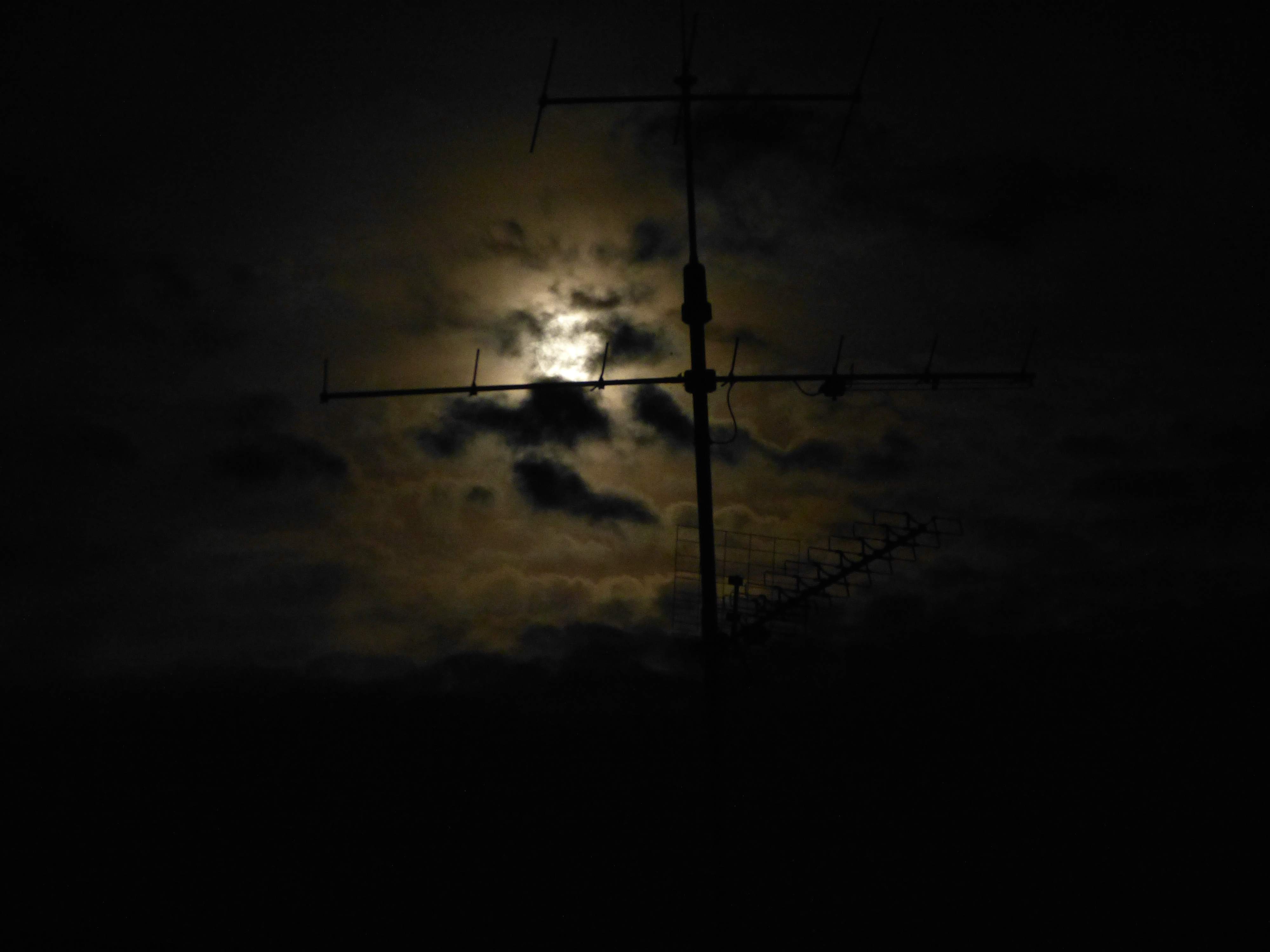 comp_P1000610.jpg