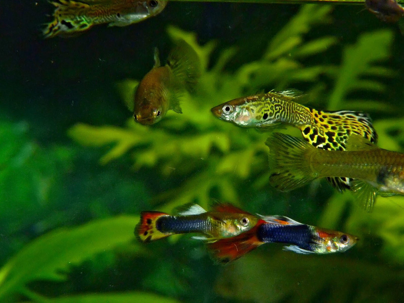 P1030261.jpg