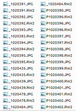 filenames.PNG