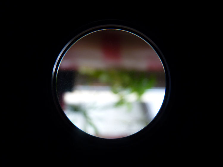 P1060017.JPG