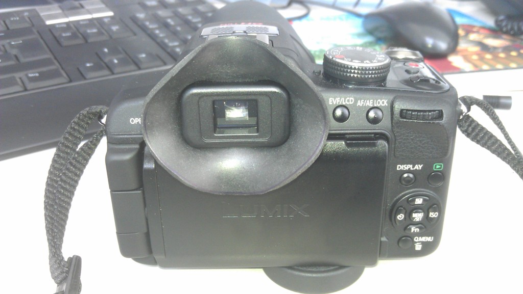 IMAG0144.jpg