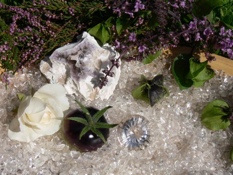 P1120544 vg.jpg