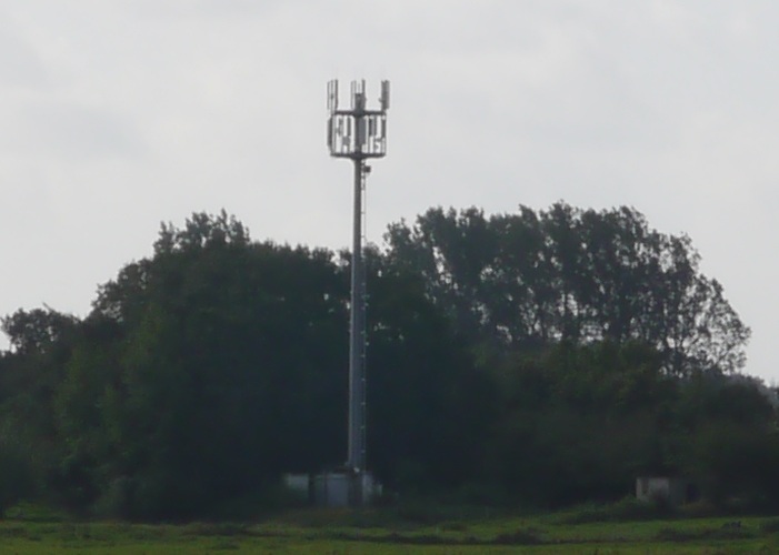 P1000067.jpg