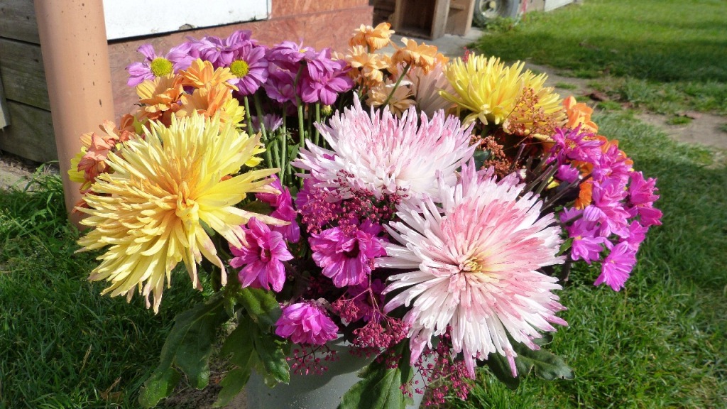 P1000469_1.jpg