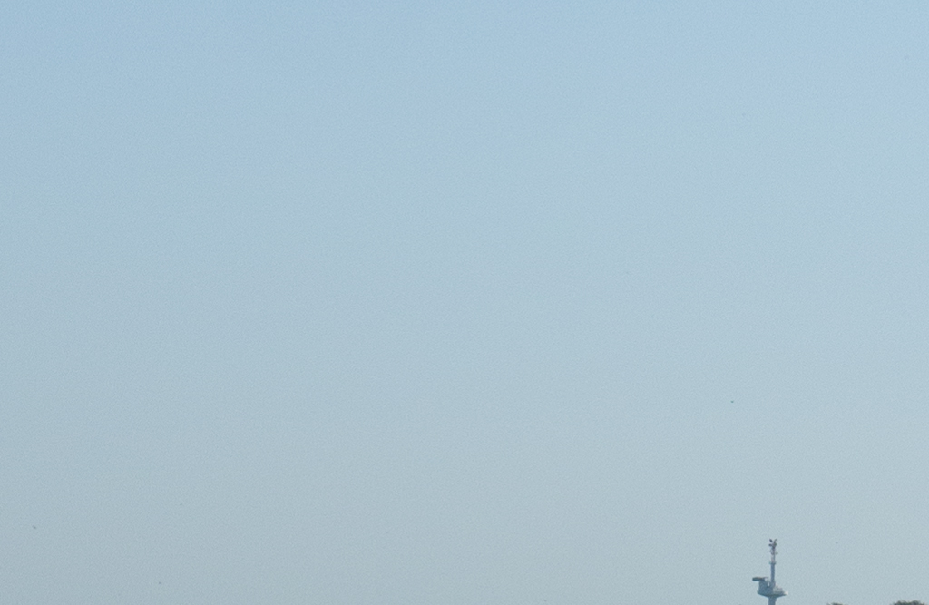 P1130123.jpg