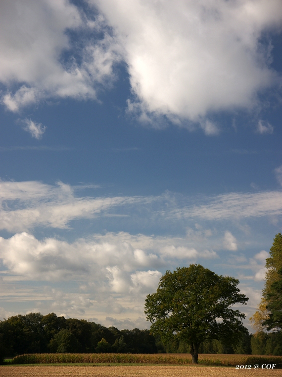 LF_2012_10_03_Ems_1010143.jpg