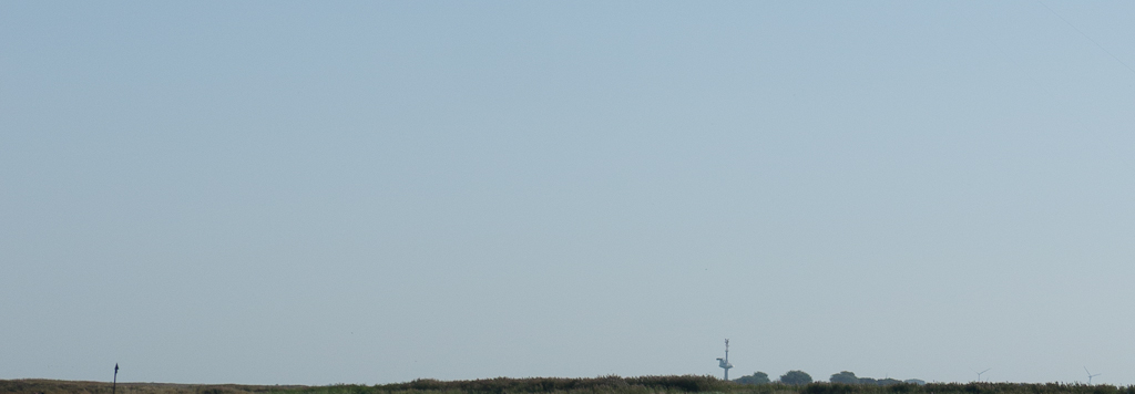P1130123.jpg