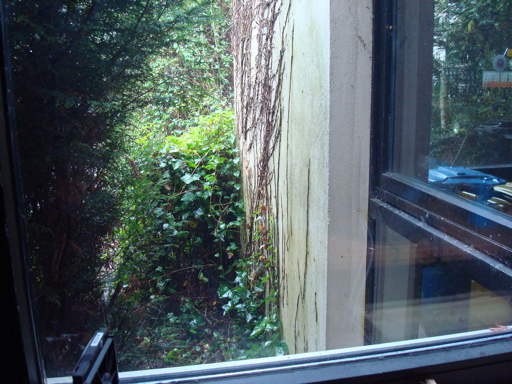 DSC04257.jpg