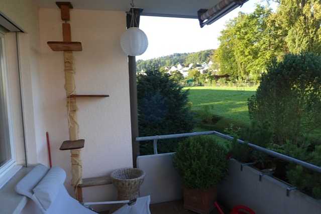 P1000576.jpg