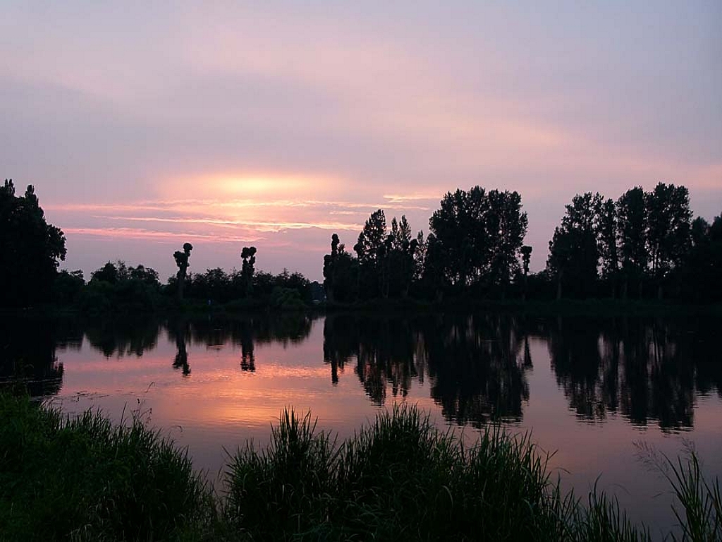 k-P1000118 1.jpg