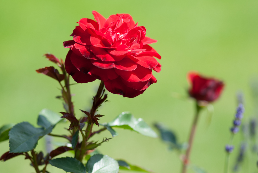 test-apsc-3-18.jpg