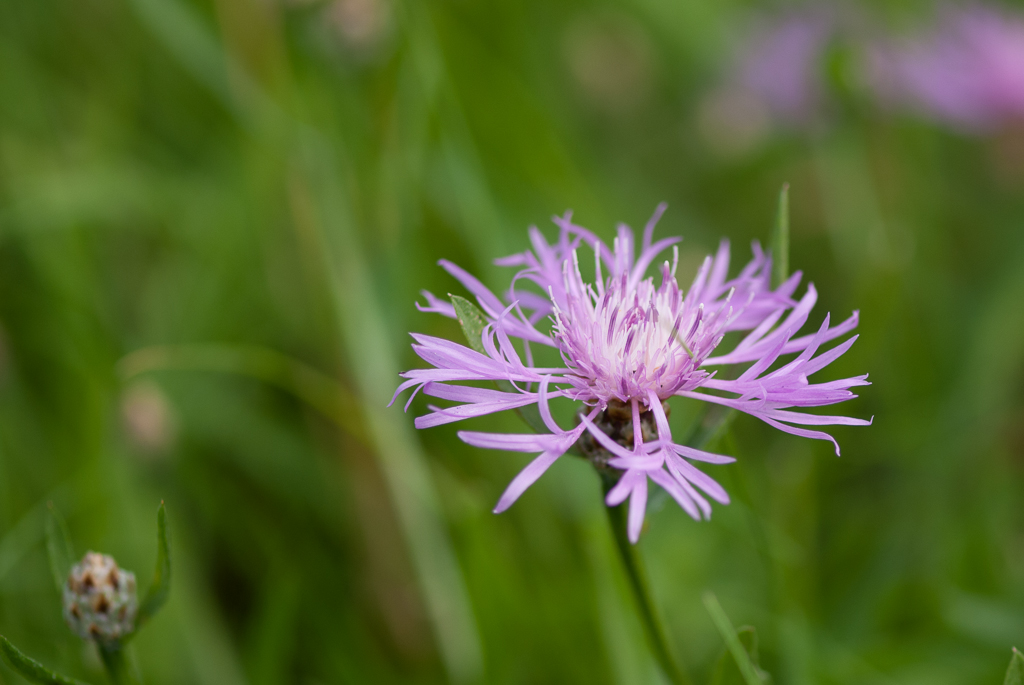 test-apsc-3-27.jpg
