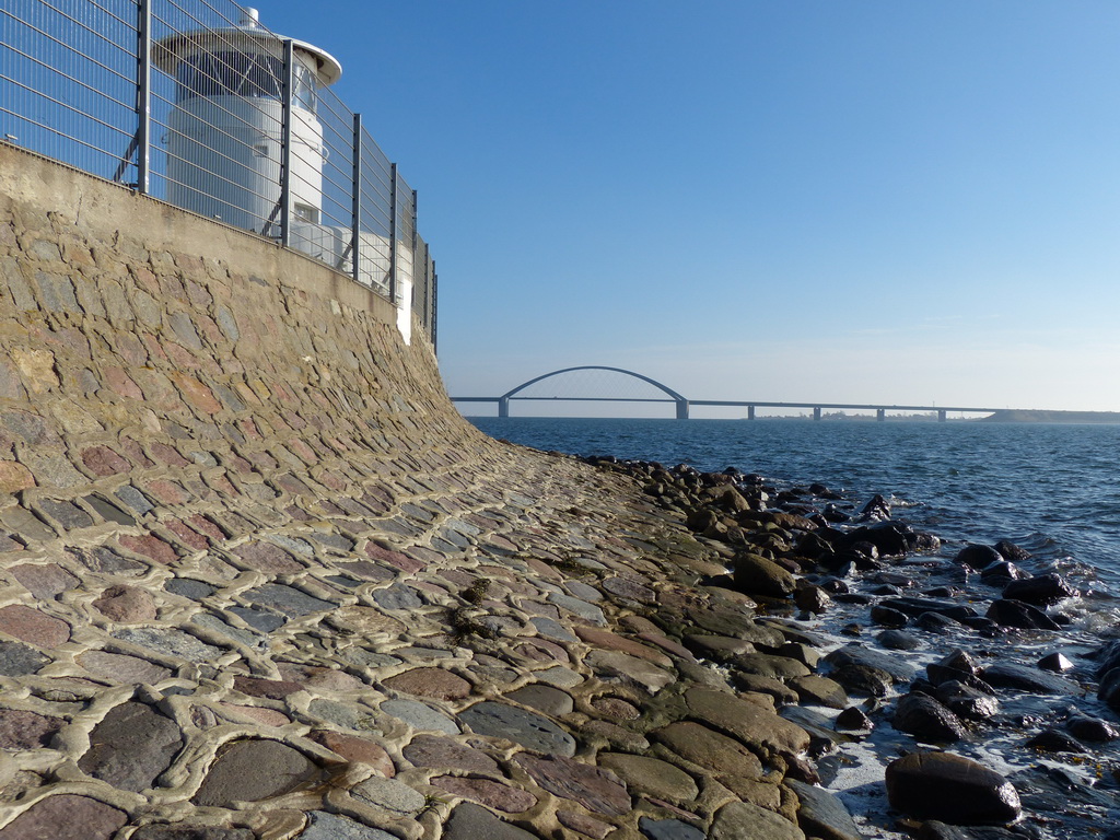 P1000045k.jpg