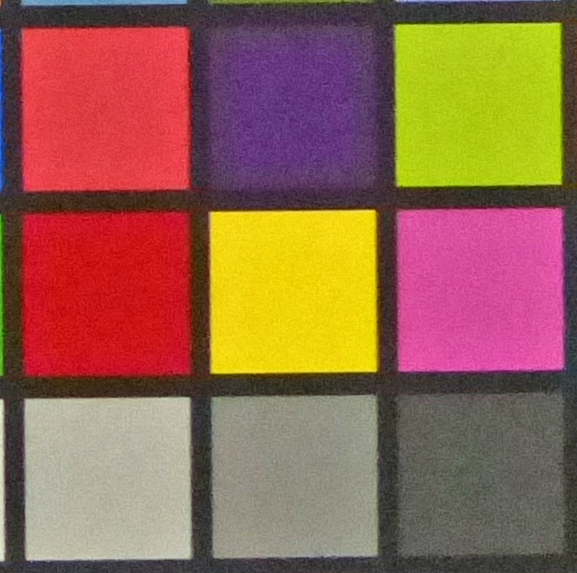 FZ200 ISO 800 2.jpg