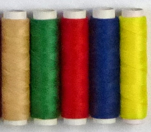 FZ200 ISO 800 1.jpg