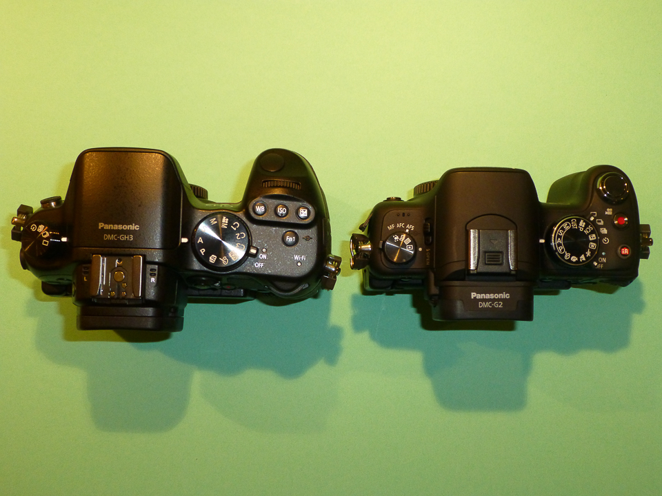 P1010635-2.jpg