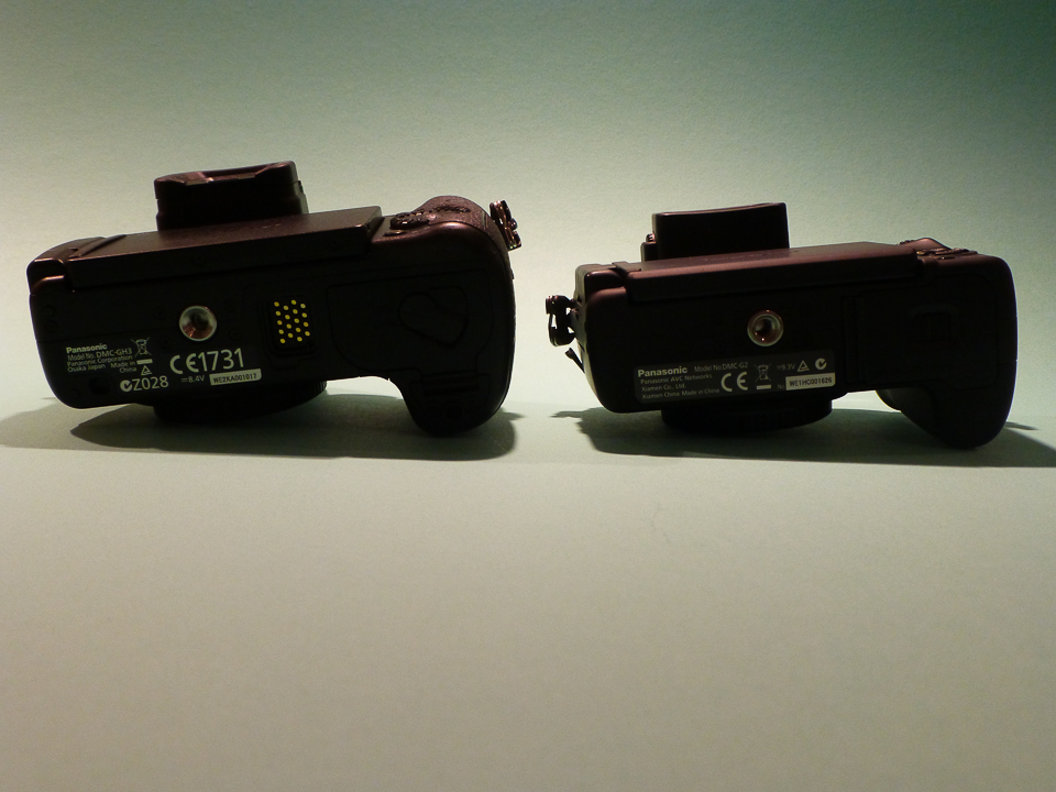 P1010634.jpg