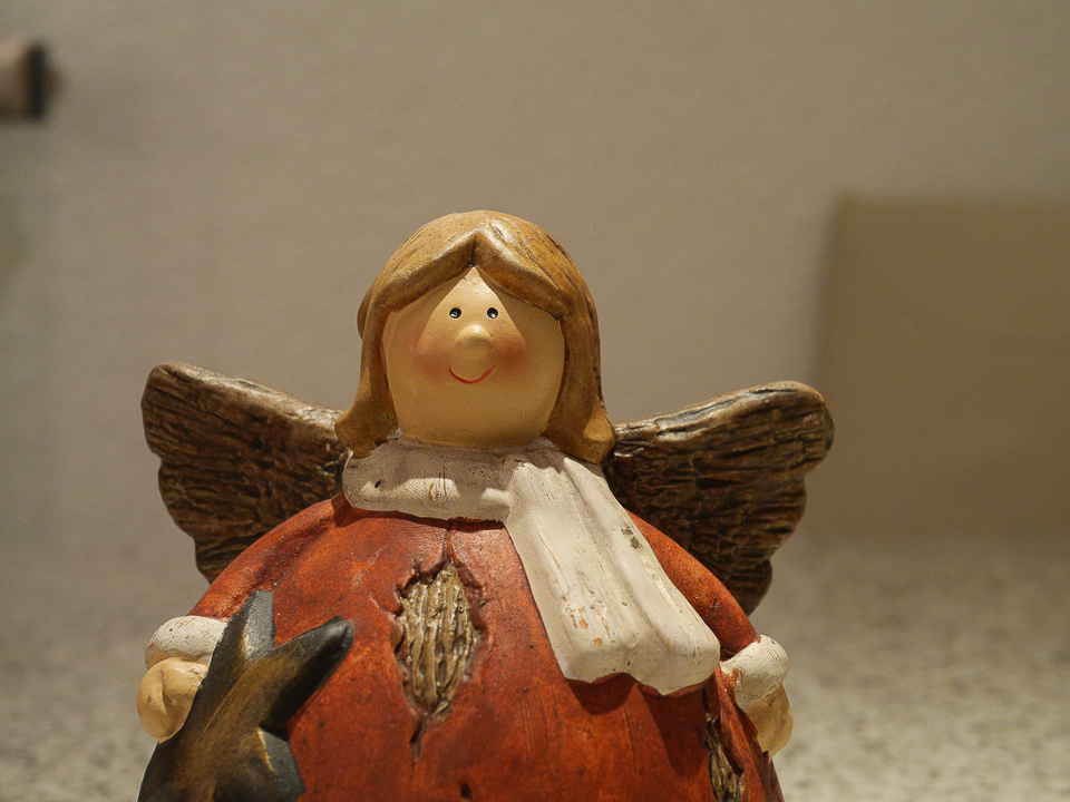 P1000024.jpg