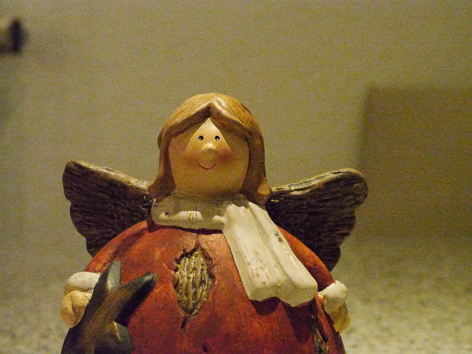 P1000027.jpg
