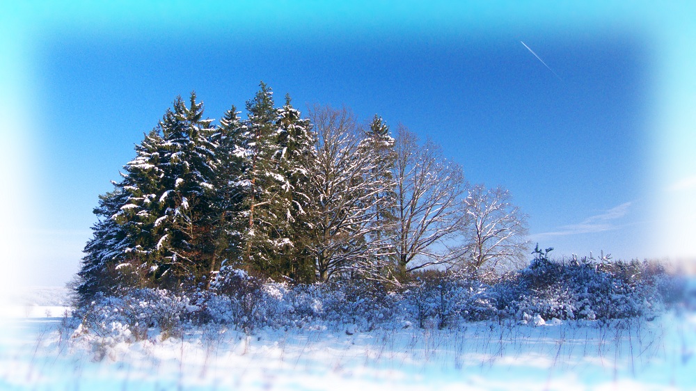Winterwonderland.jpg